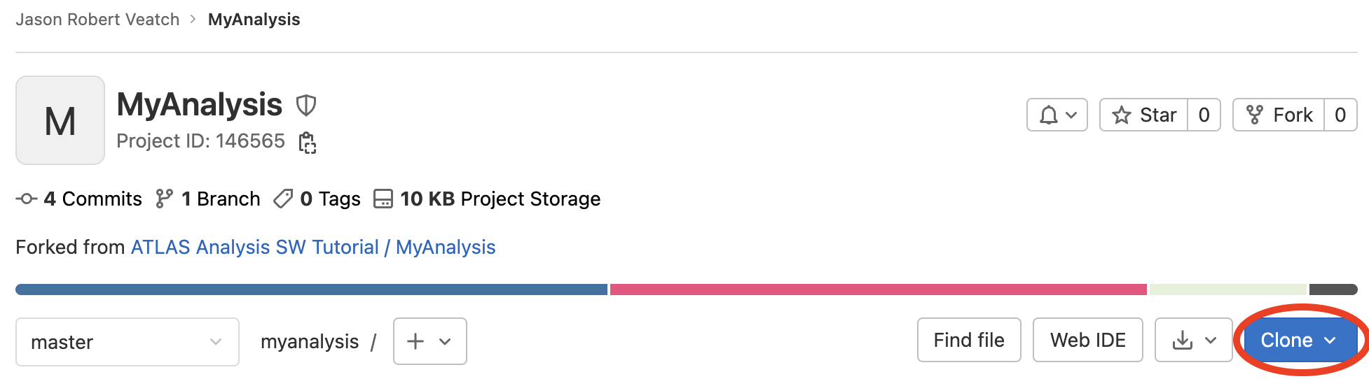 GitLab fork options