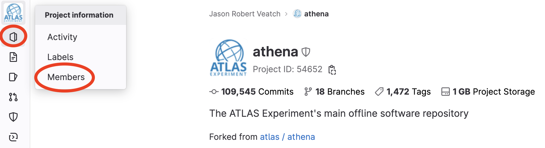 GitLab fork settings