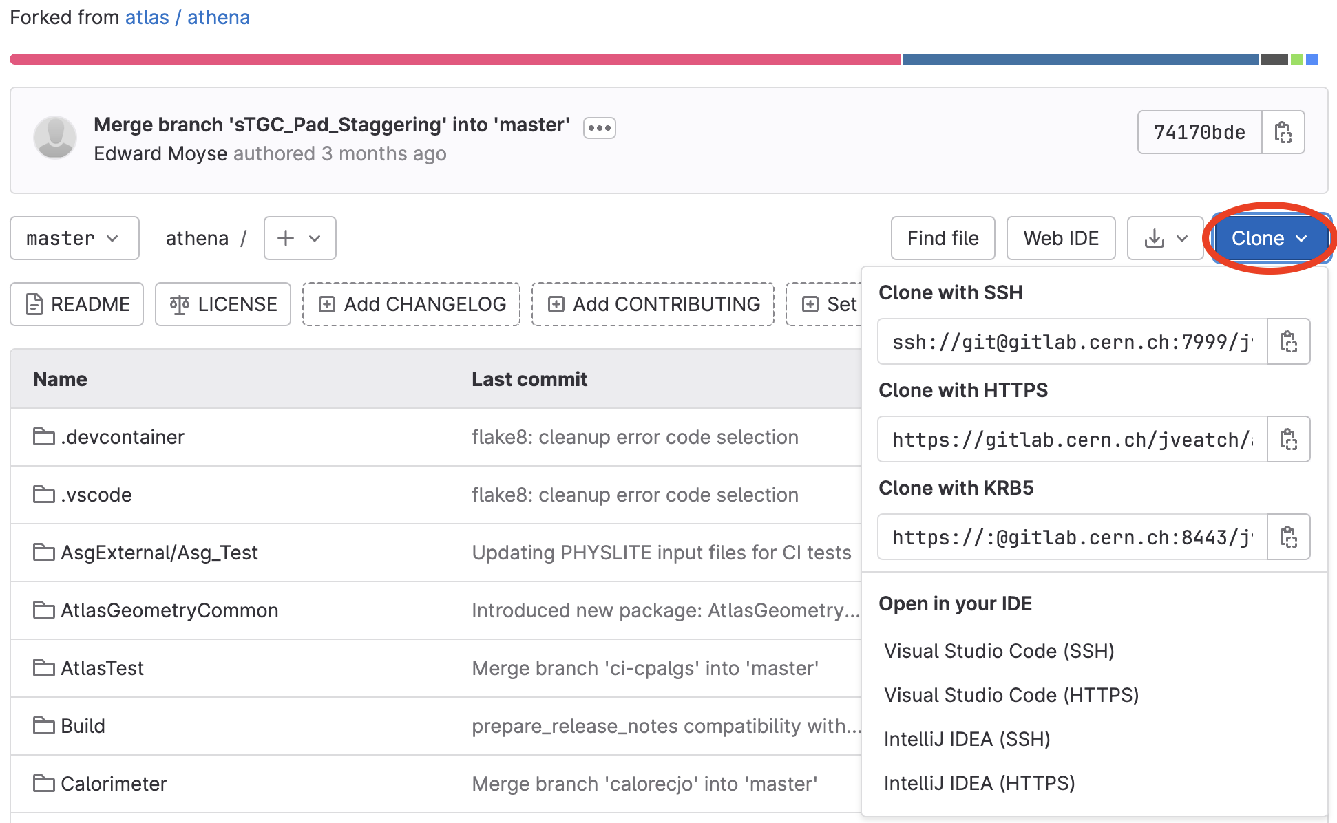 GitLab fork URLs