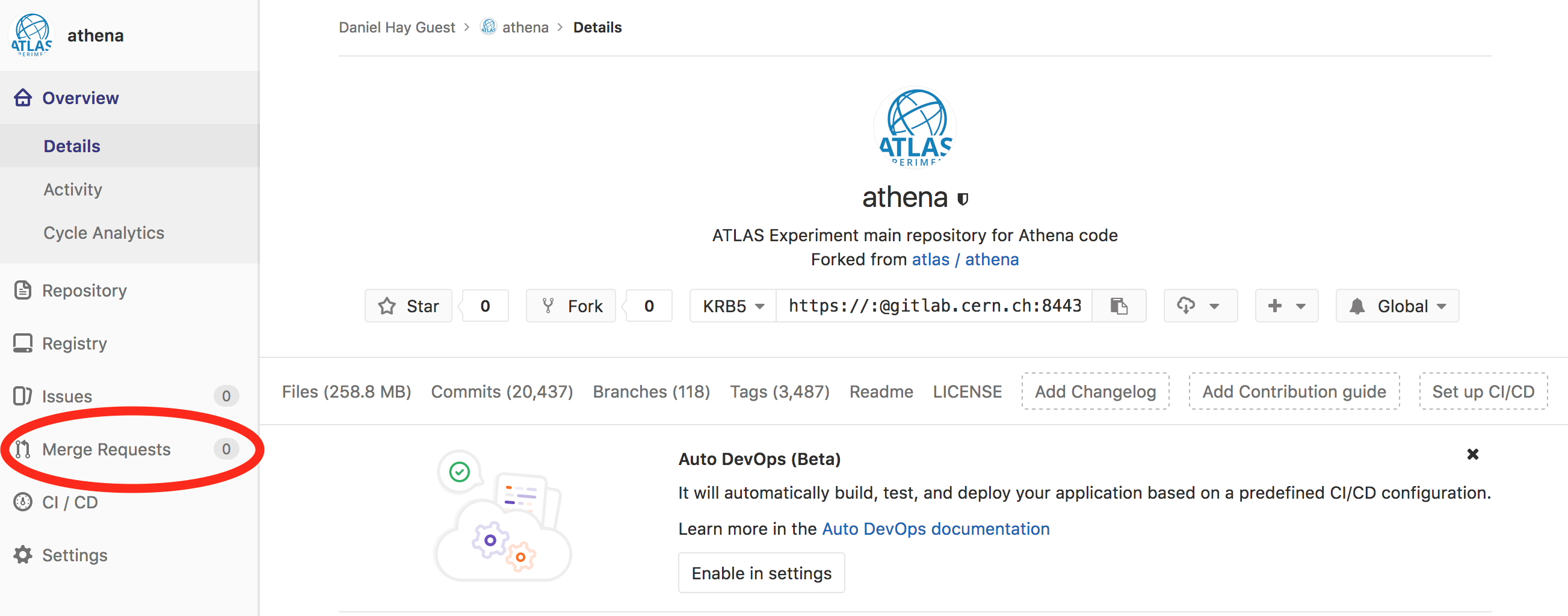 Faster merge requests to analysis branches